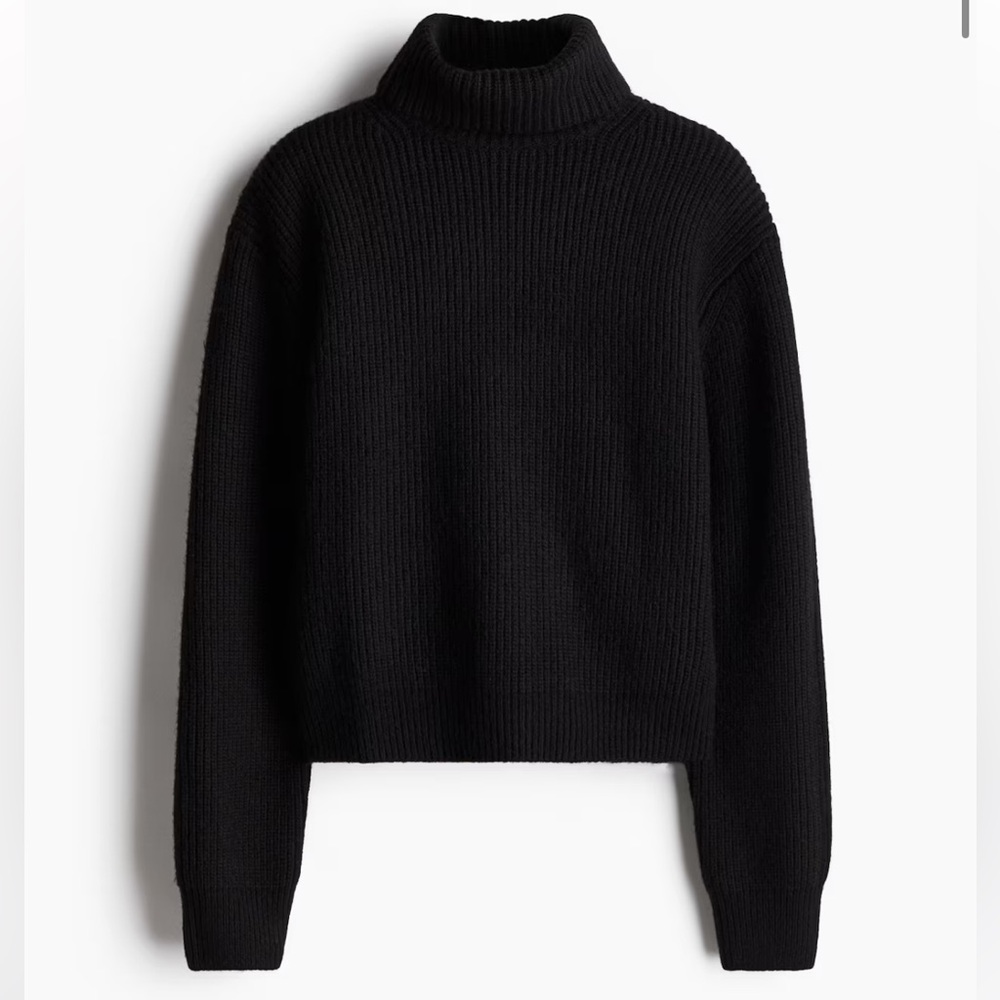 RIB-KNIT TURTLENECK SWEATER